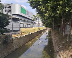 工程建設(shè)環(huán)境對城市生態(tài)會有什么影響？
